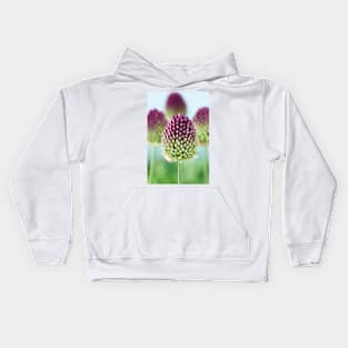 Allium sphaerocephalon   AGM  Round-headed garlic  Round-headed leek Kids Hoodie